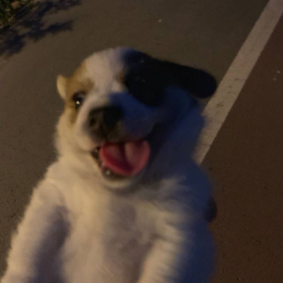 联系aui224h