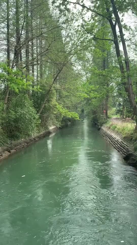 周末骑车走走停停