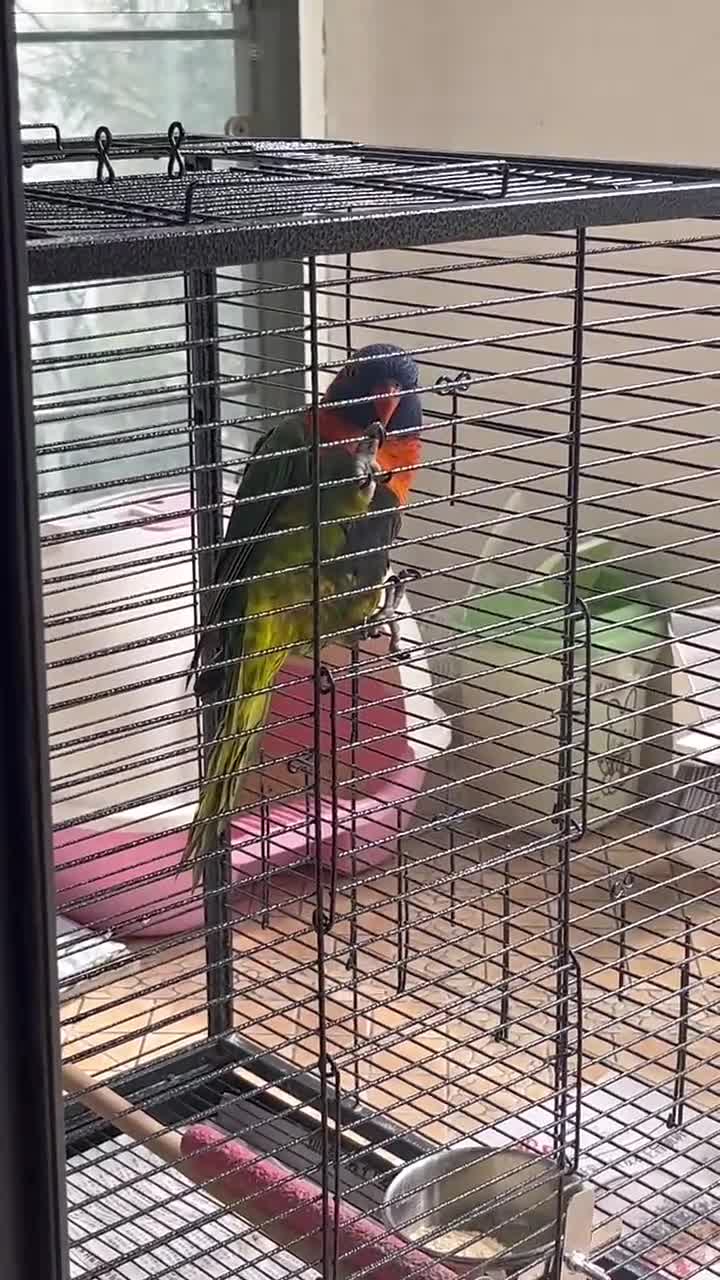 你好❤️