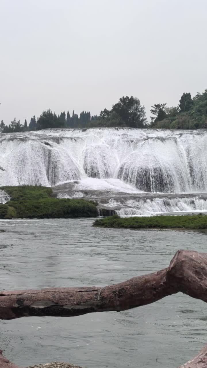 热爱漫无边际，生活自有分寸