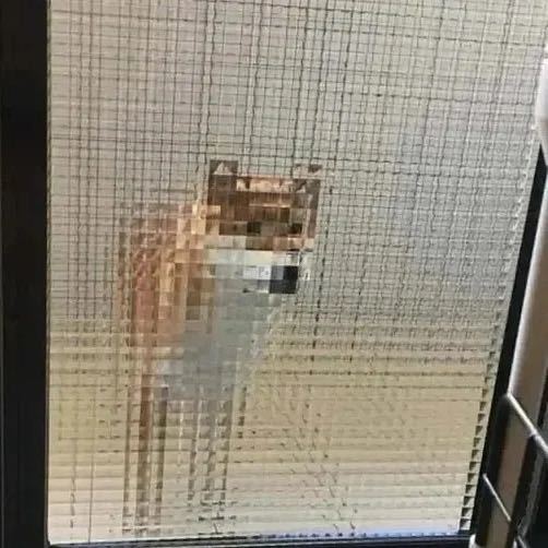 小南极