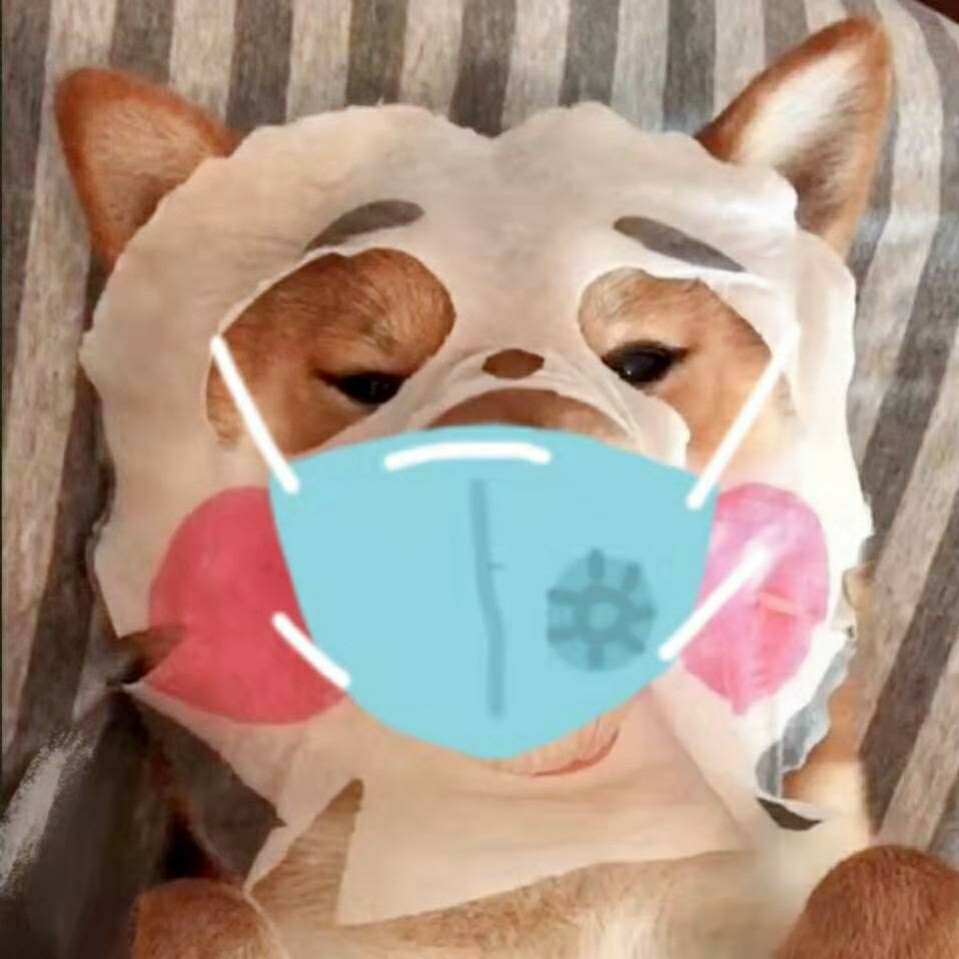 窗外繁花似锦