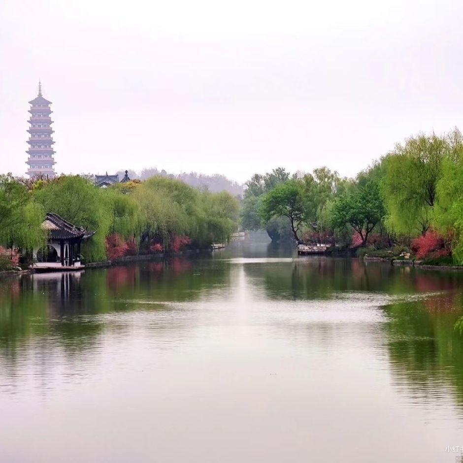 乐乐妈