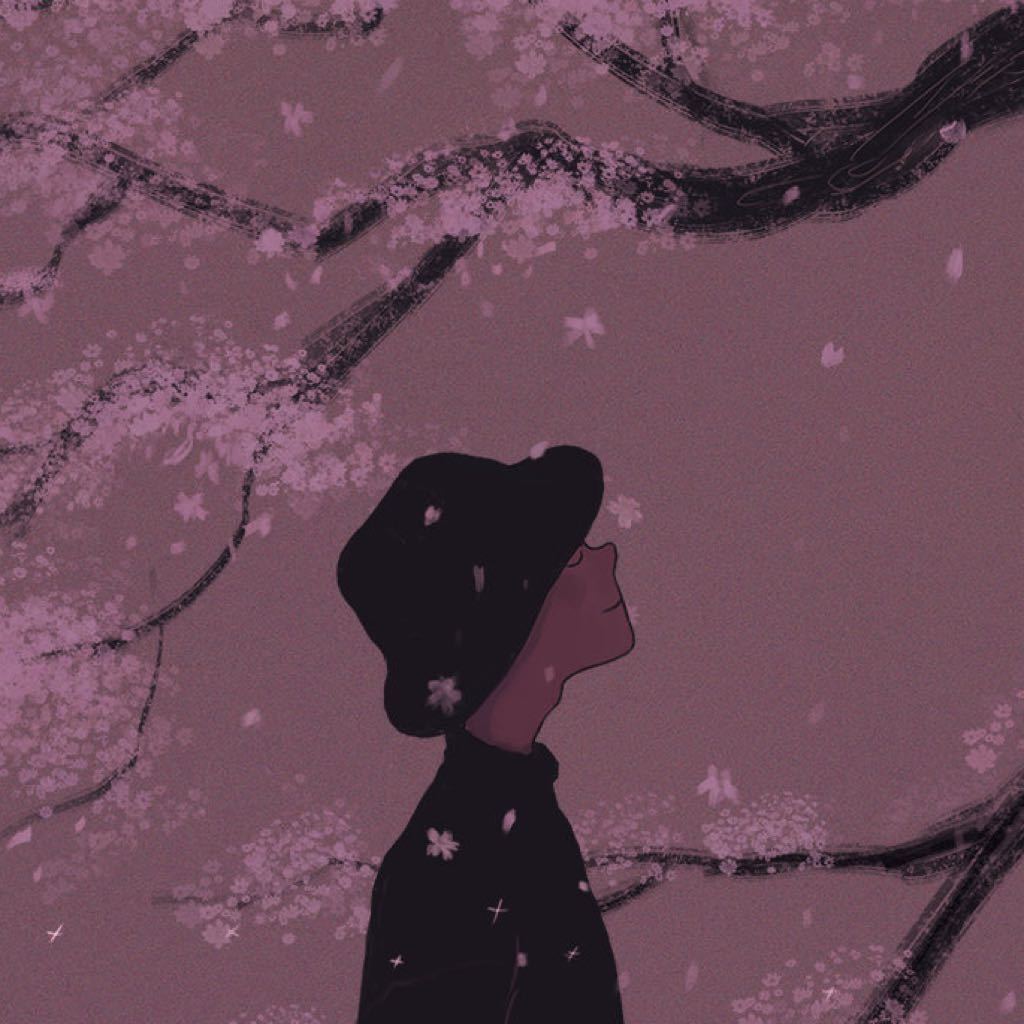 茶鲤鲤