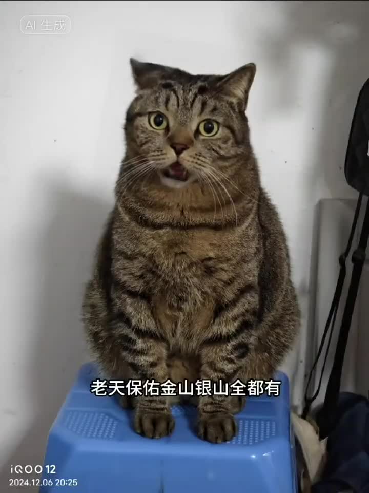 老天保佑金山银山全都有~