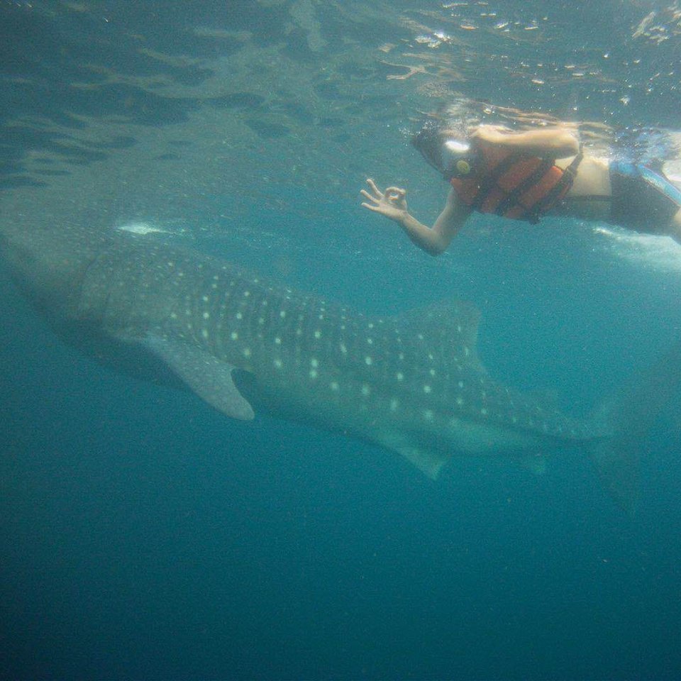 谢光位²⁰²⁴🇨?