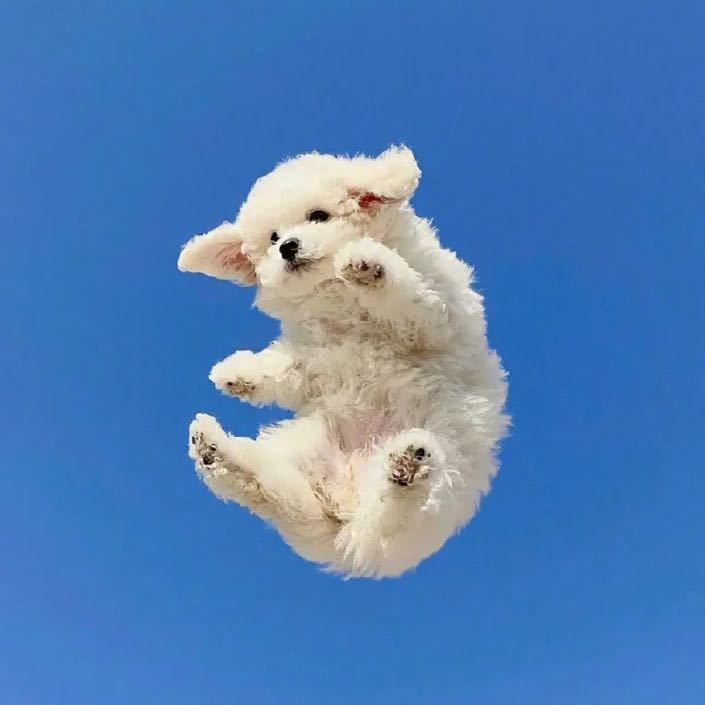 多吃水果
