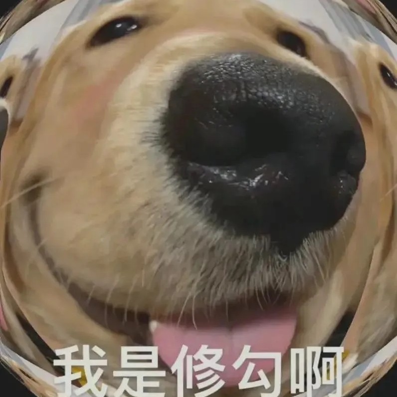 修勾儿