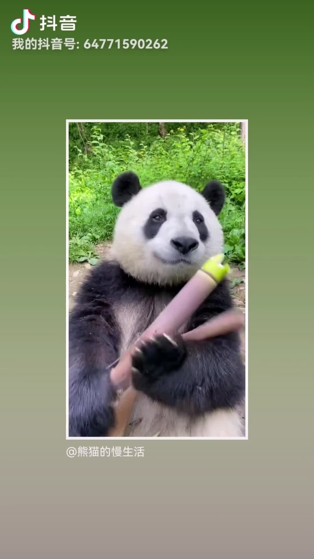    城市唤醒计划  美食家  文