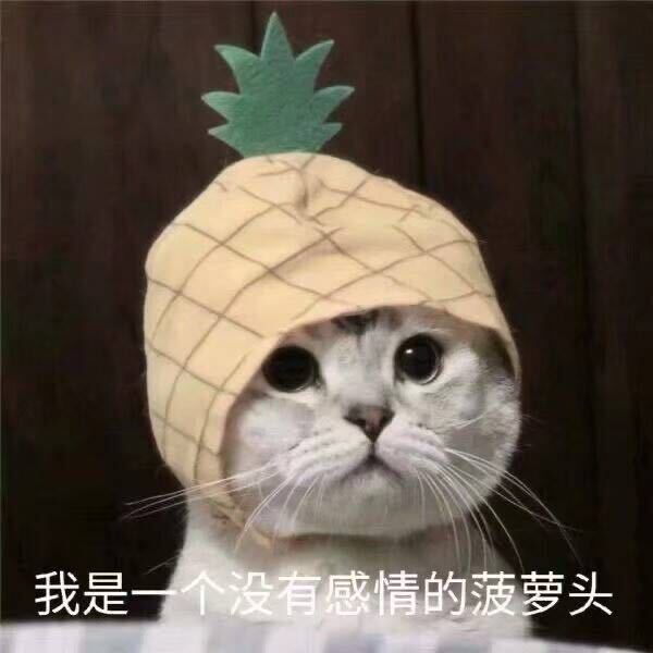 如果没有