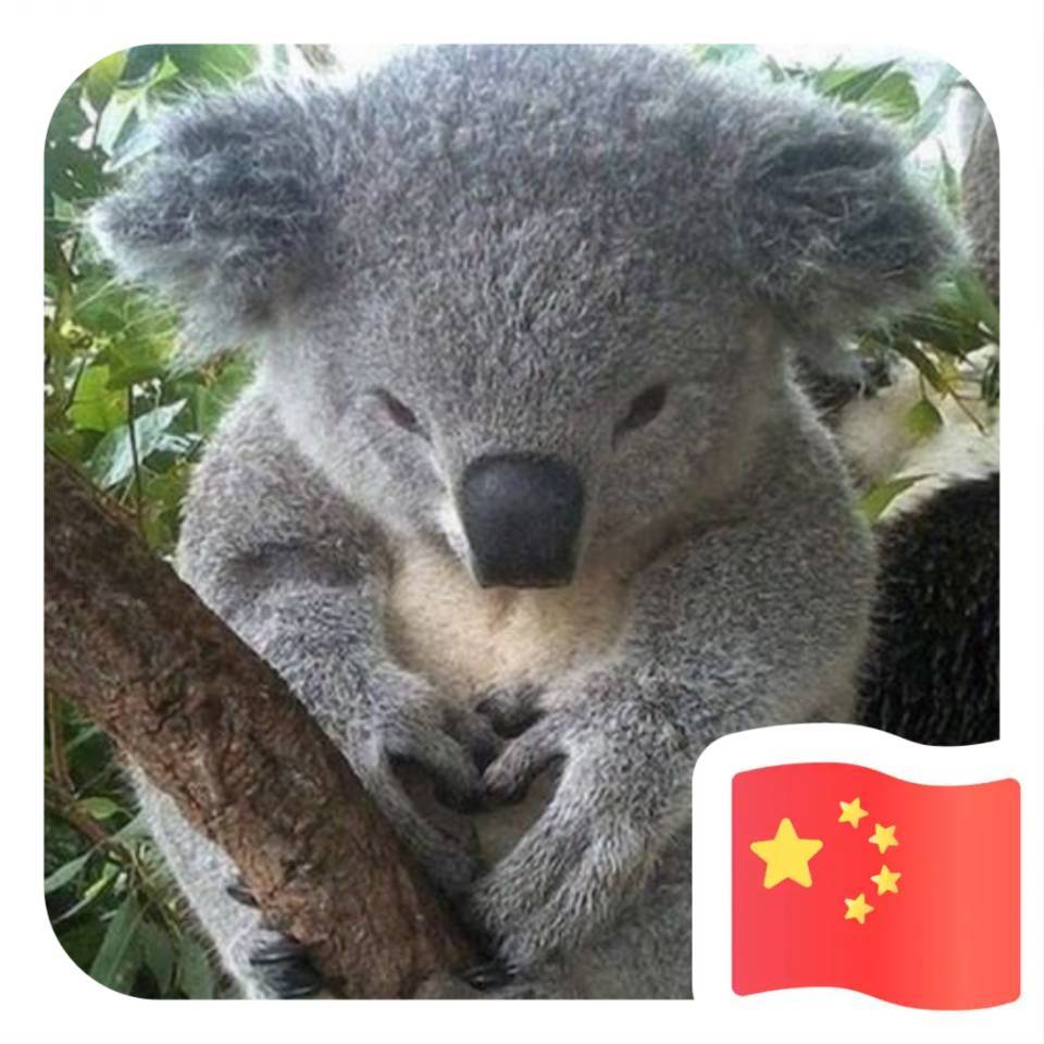 我心凤翔