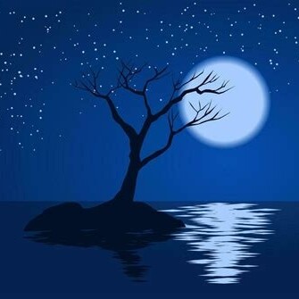 moonlight.