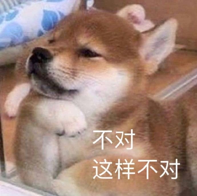 阳光彩虹小白马