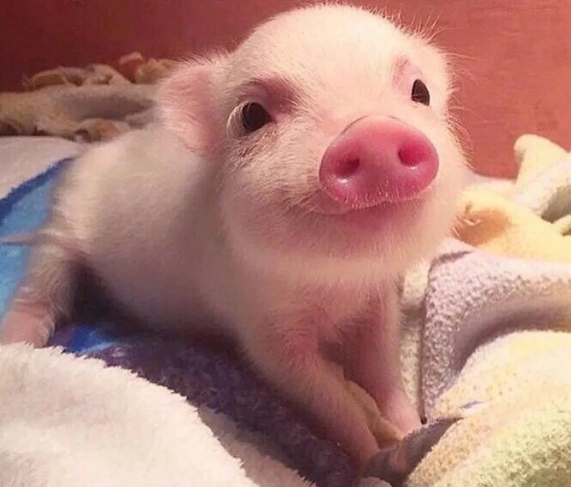 2023要开心啊哈_3