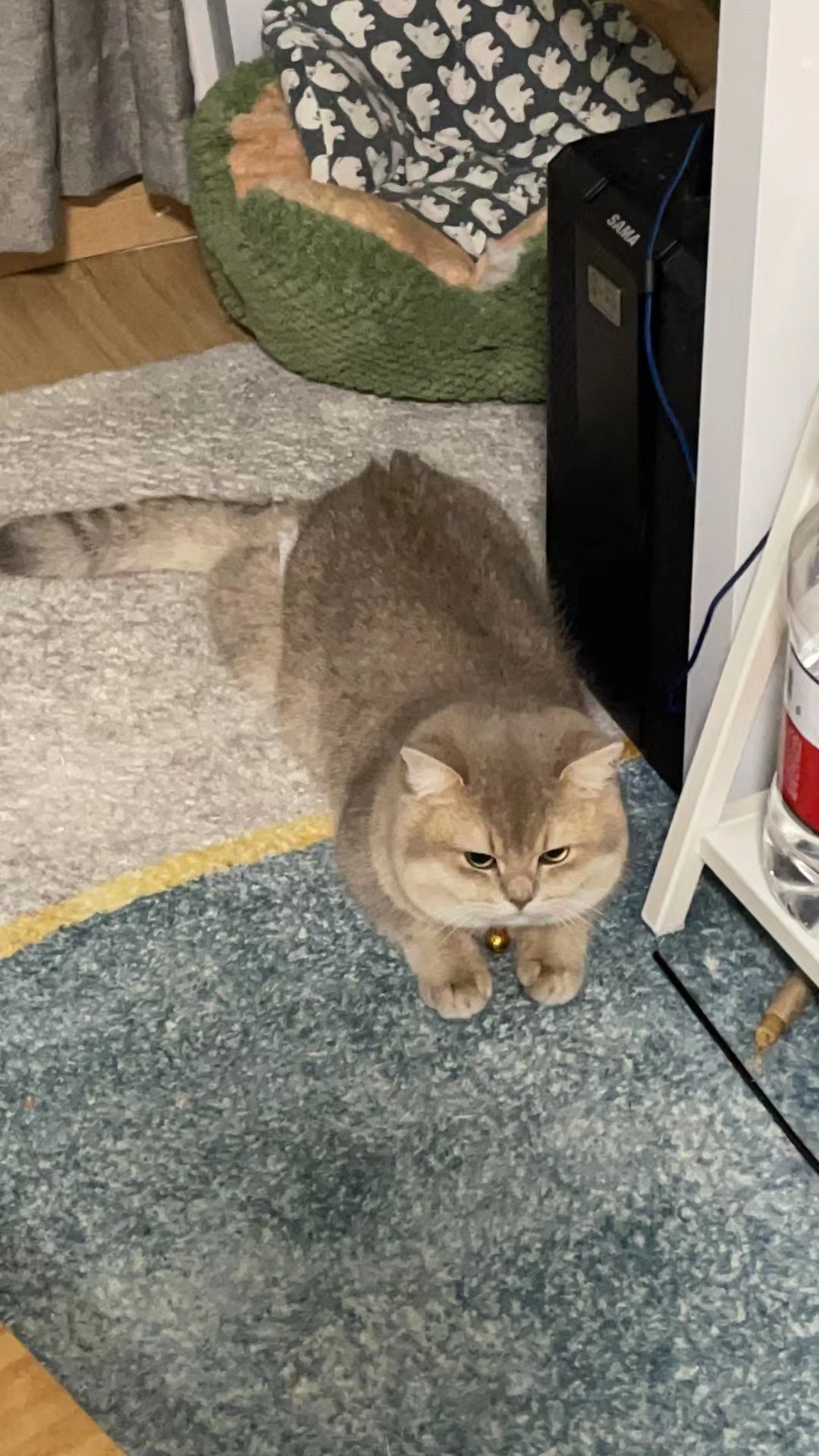 招亲（家里的是弟弟）