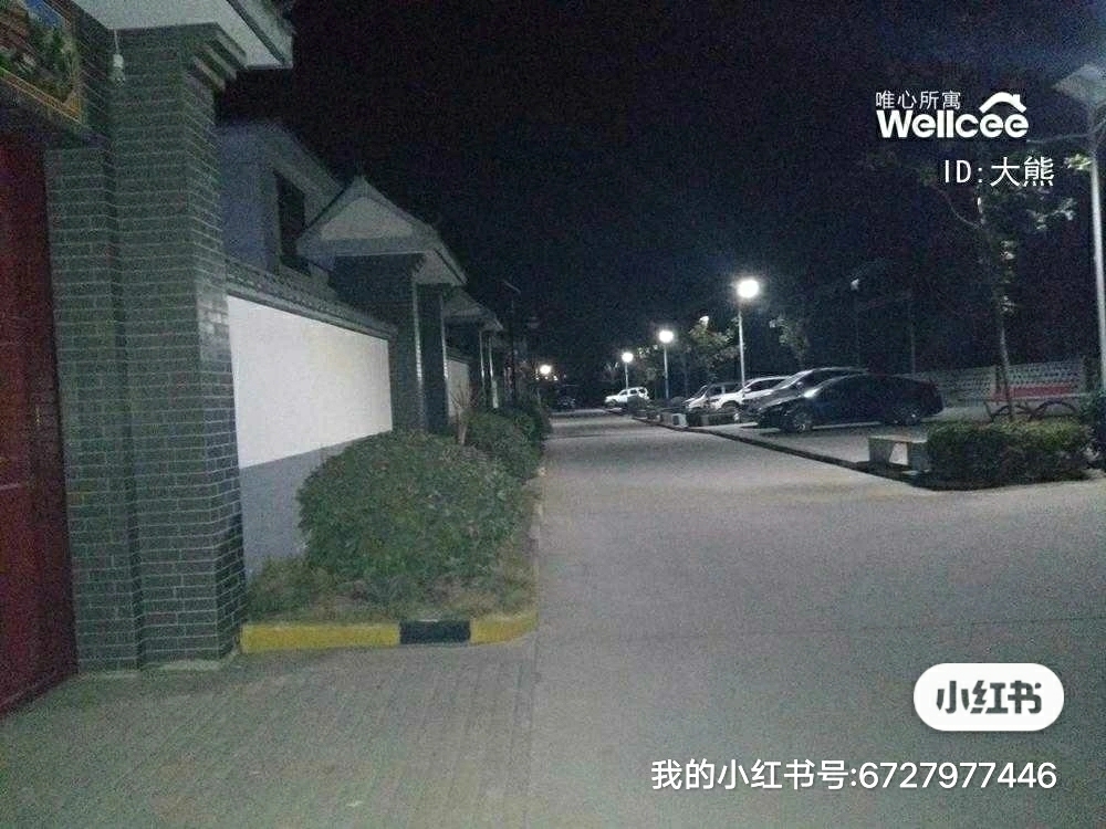 life_photo_3