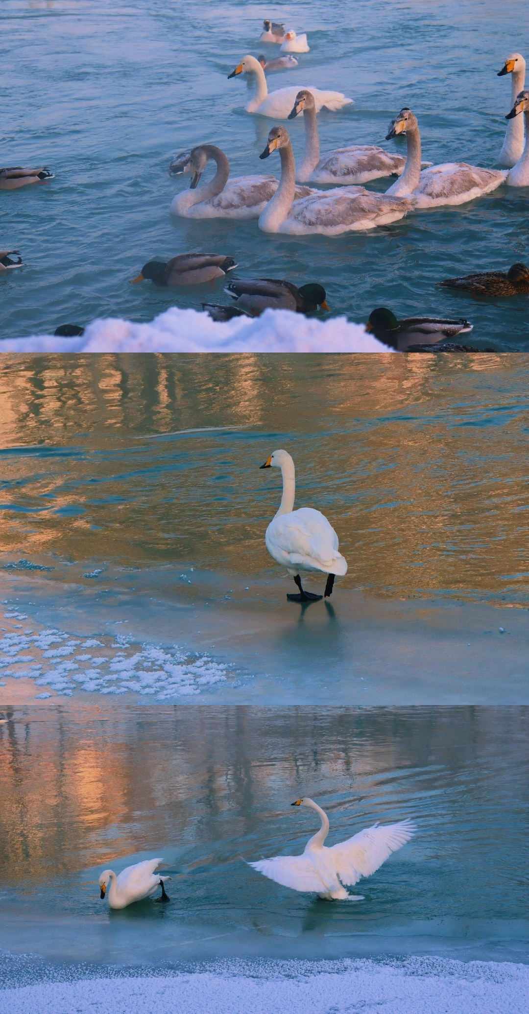 求志同道合的朋友一起做旅行自媒体 旅行_3