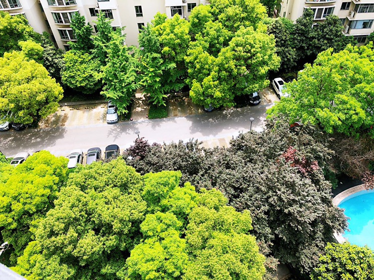 上海 徐汇 | 漕溪北路99弄_4