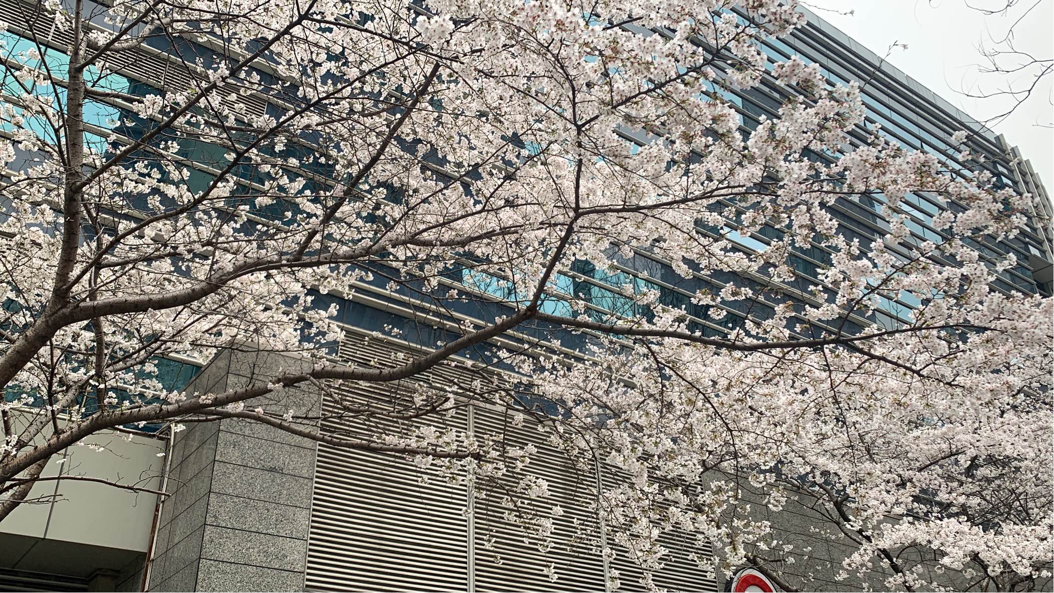 上海 静安 | 昌平路923号长春小区_4