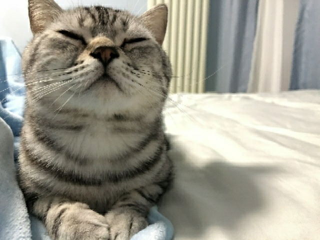 life_photo_3
