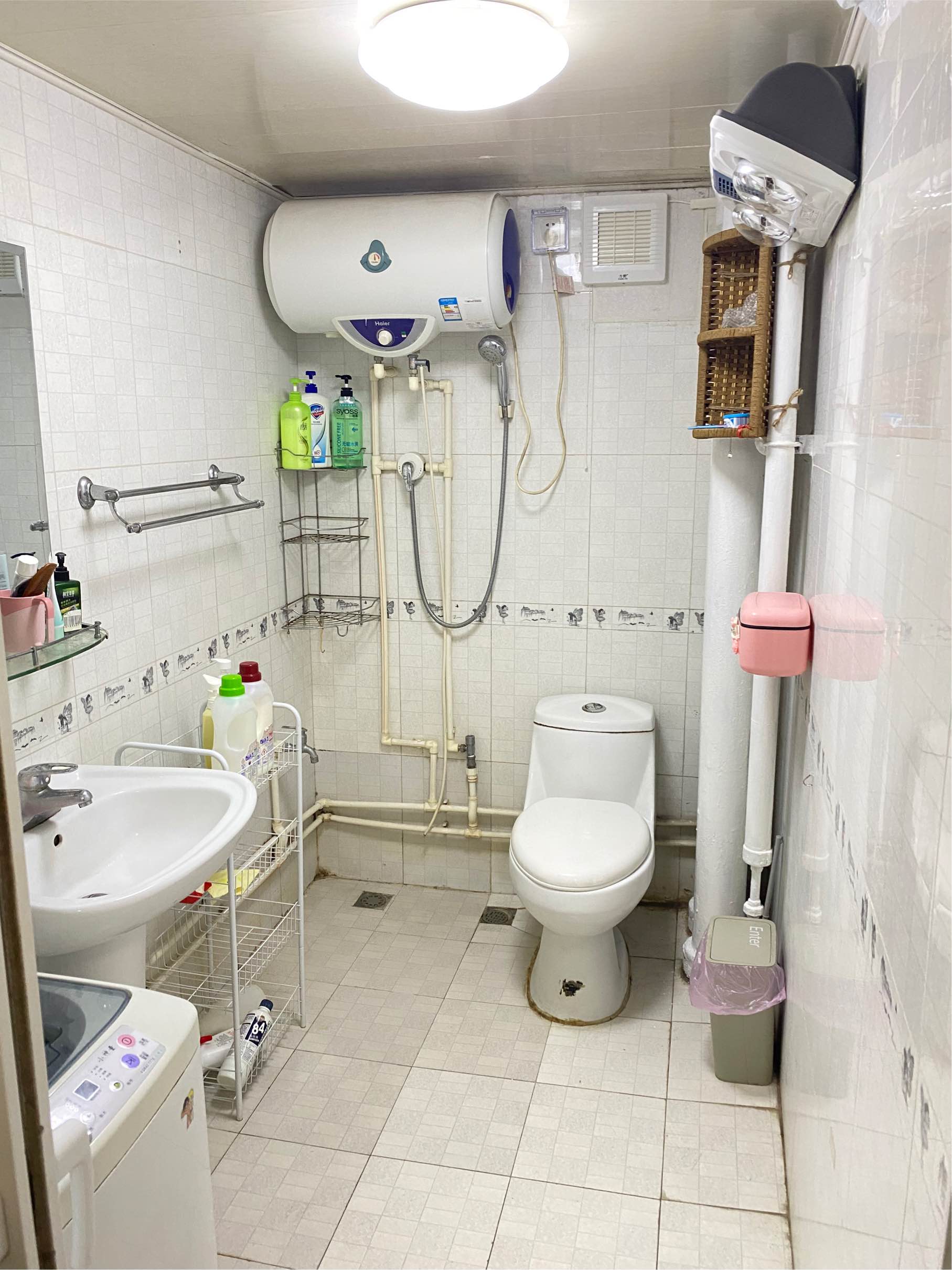 Beijing-Chaoyang-Pet Friendly