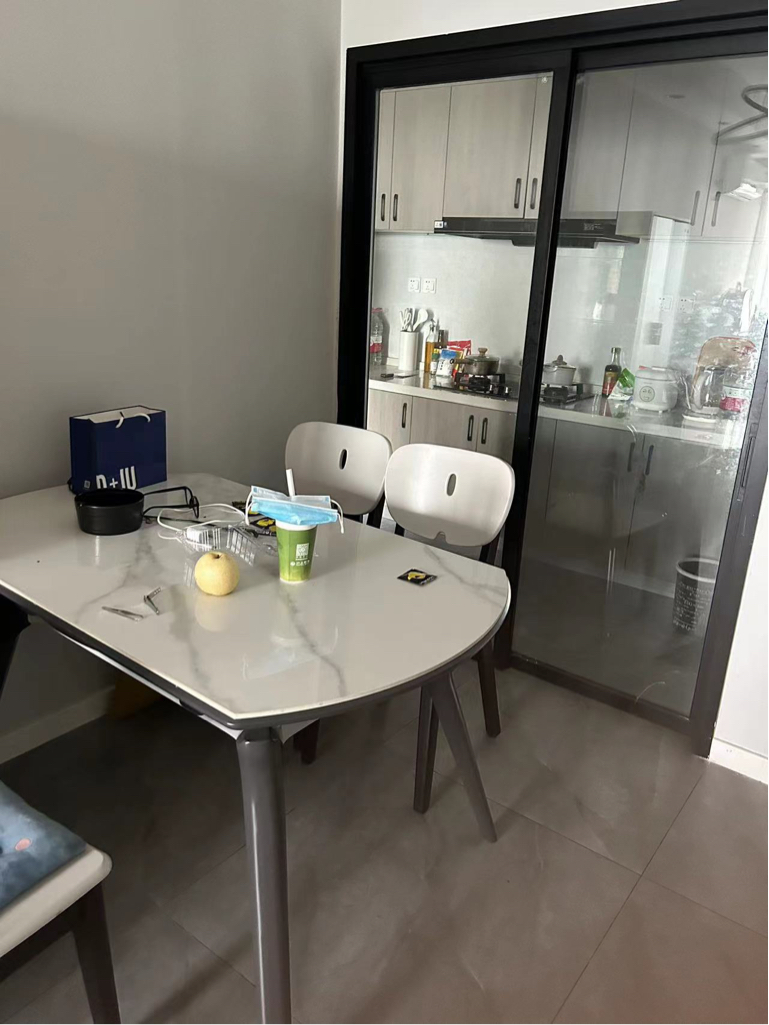 成都 高新區 | 新园大道_4