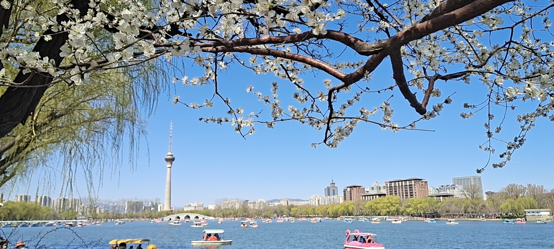 玉淵潭公園 活动 _3