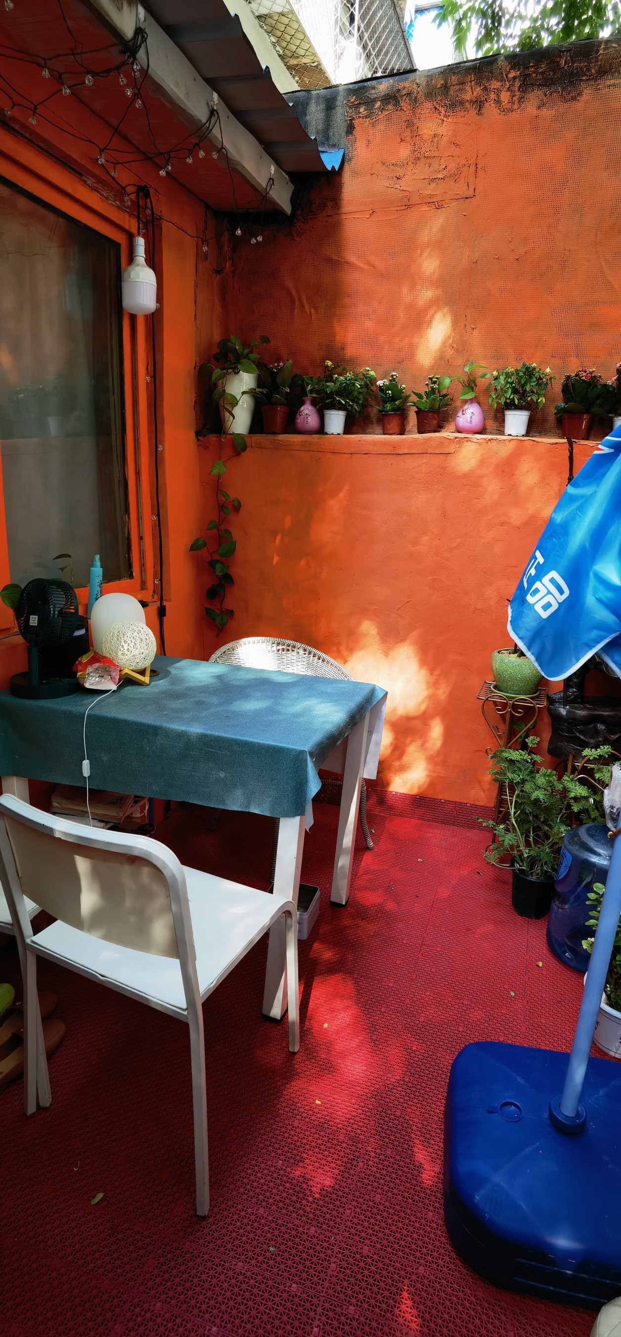 Beijing-Chaoyang-男,Cozy Home,“Friends”