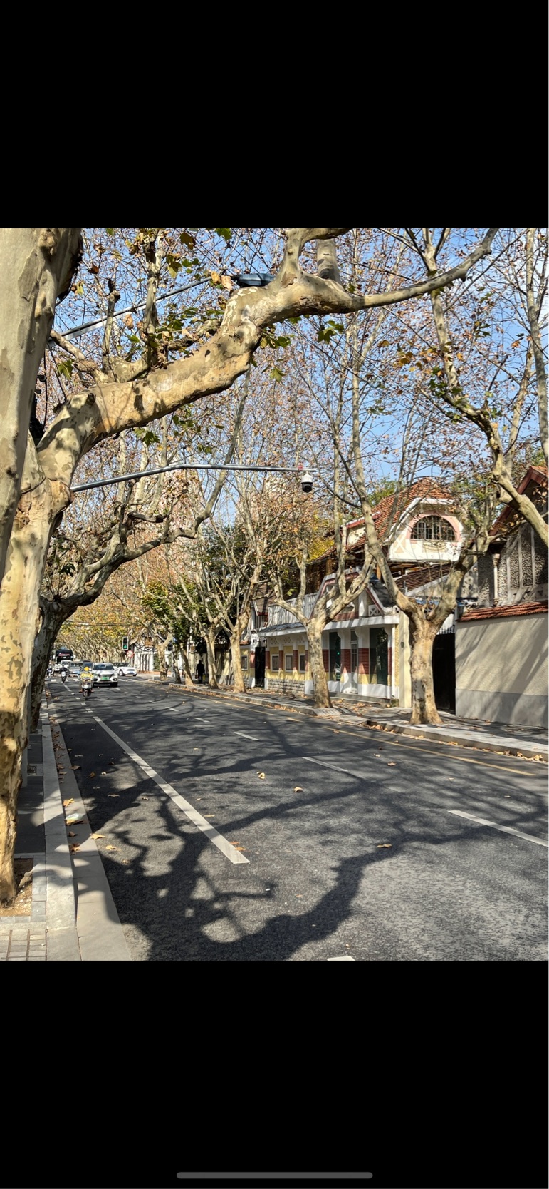 上海 徐匯 | 高安路81弄_4