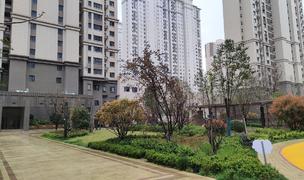 Xi'An-Yanta-100RMB/Night,Shared Apartment,Seeking Flatmate,Long Term,Pet Friendly