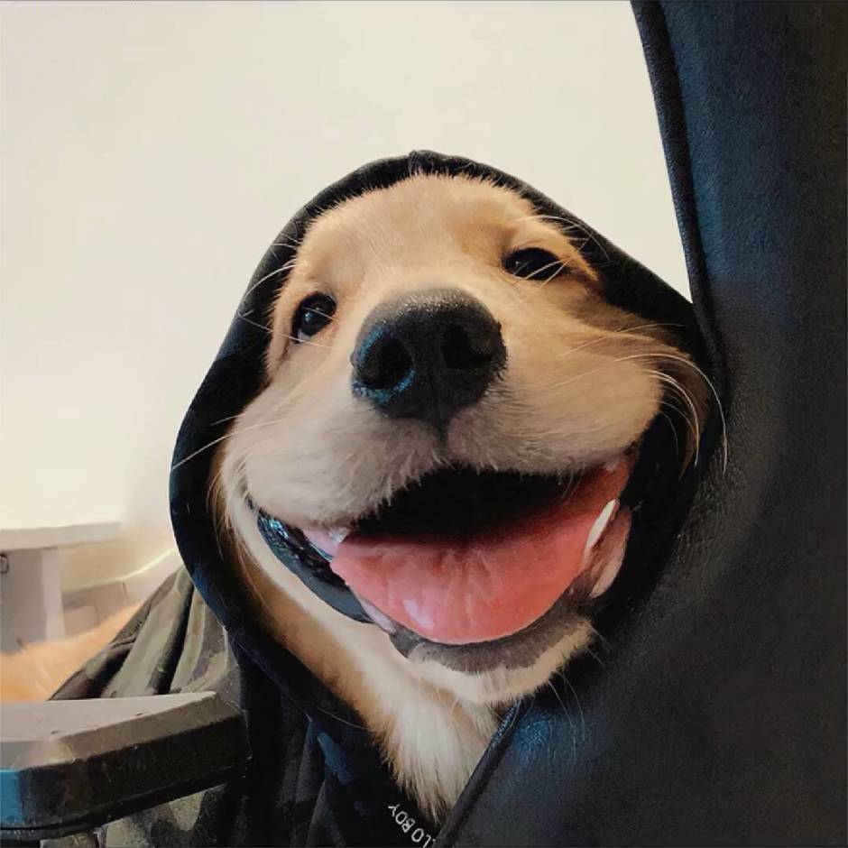 凡