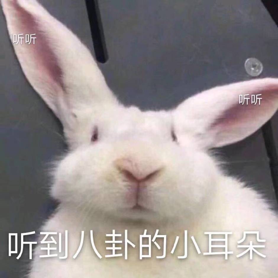 诚信房东陈姐