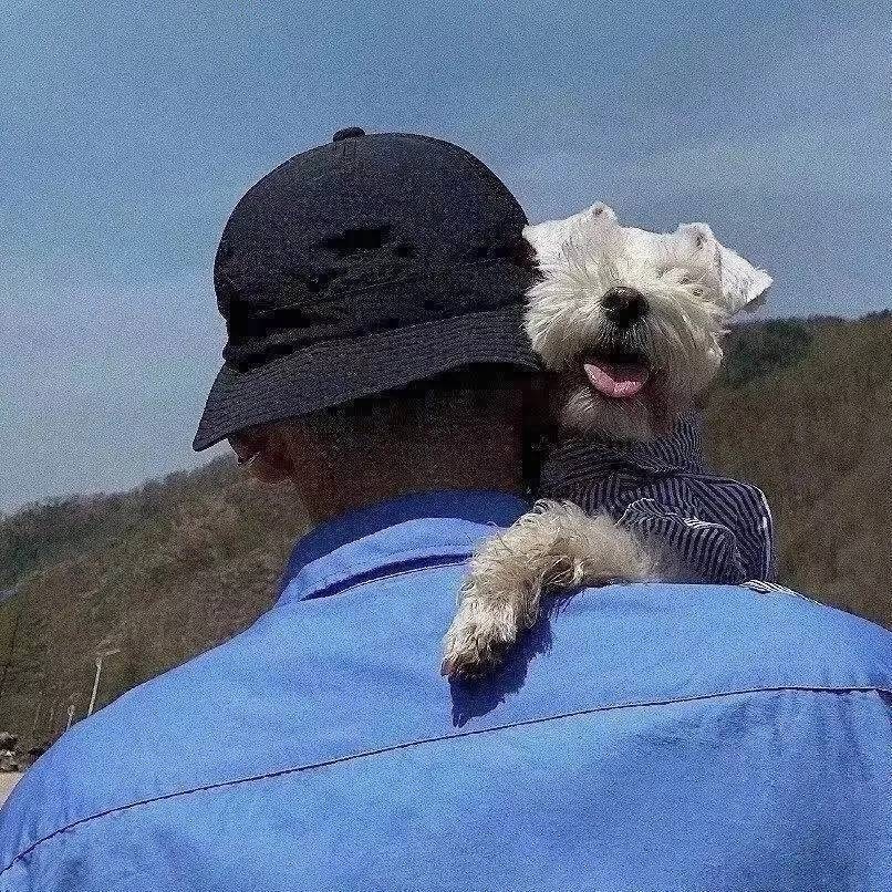 大秋