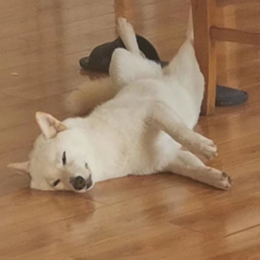 三鲜伊面