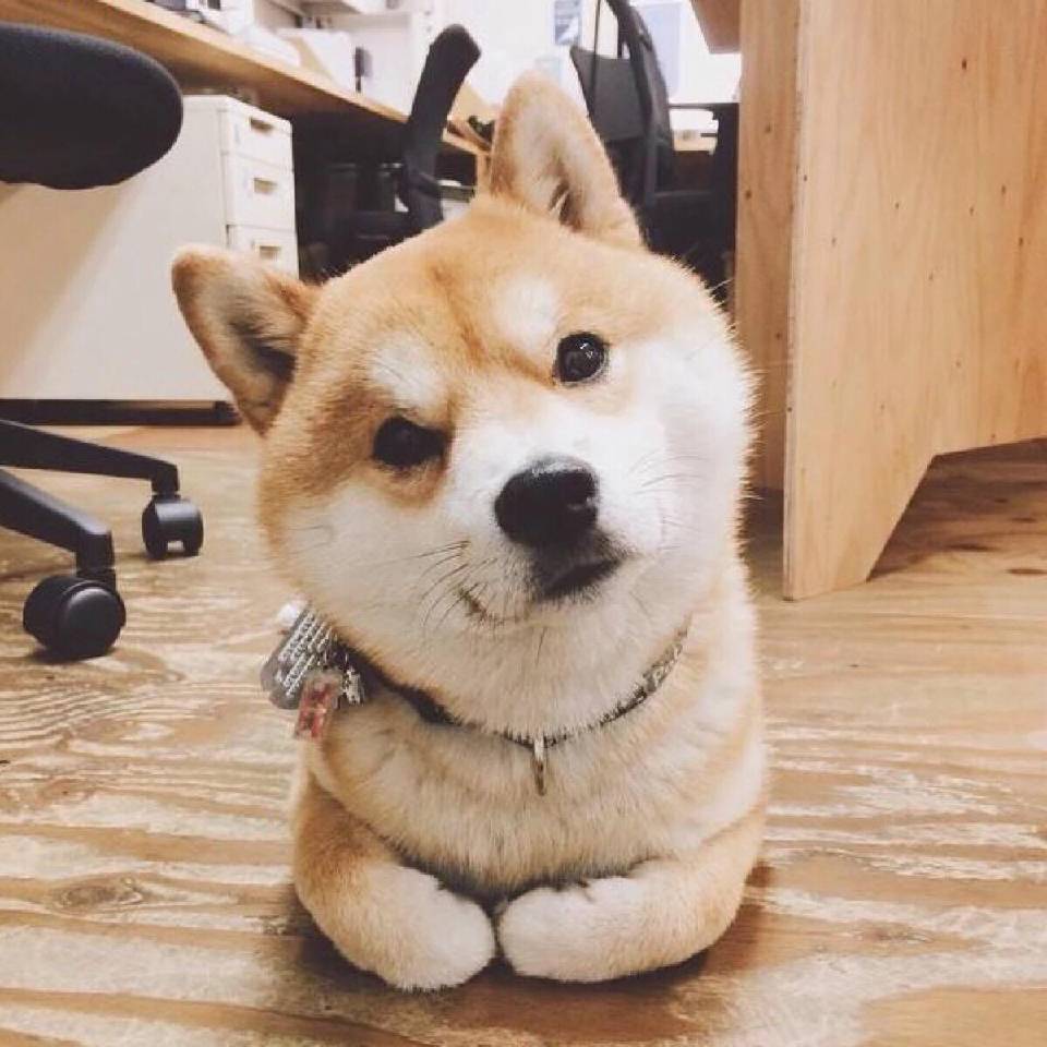 杰