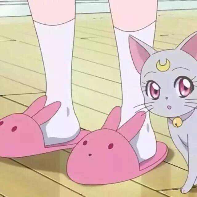 🐈