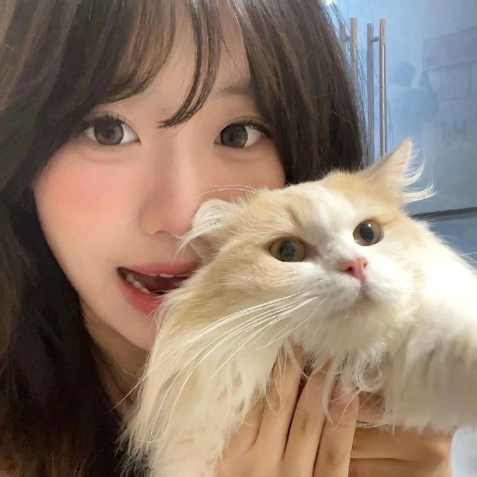 奇迹楹楹