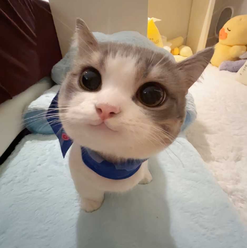 乐意李