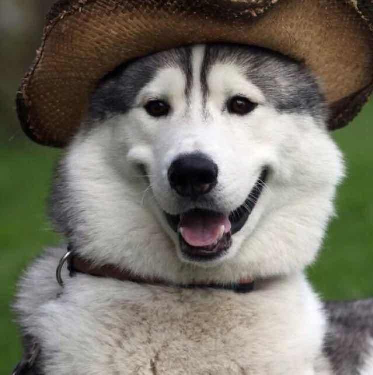 Vvv