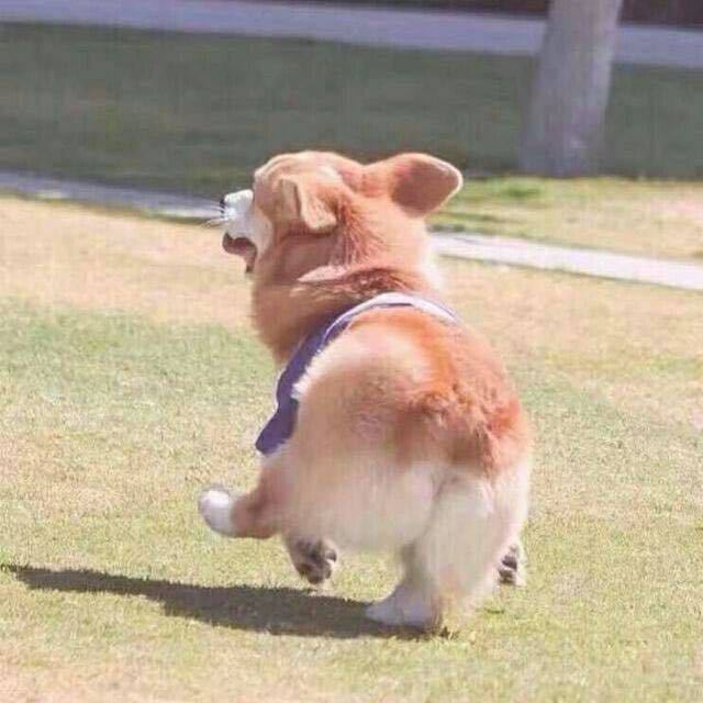 幻夜昼影