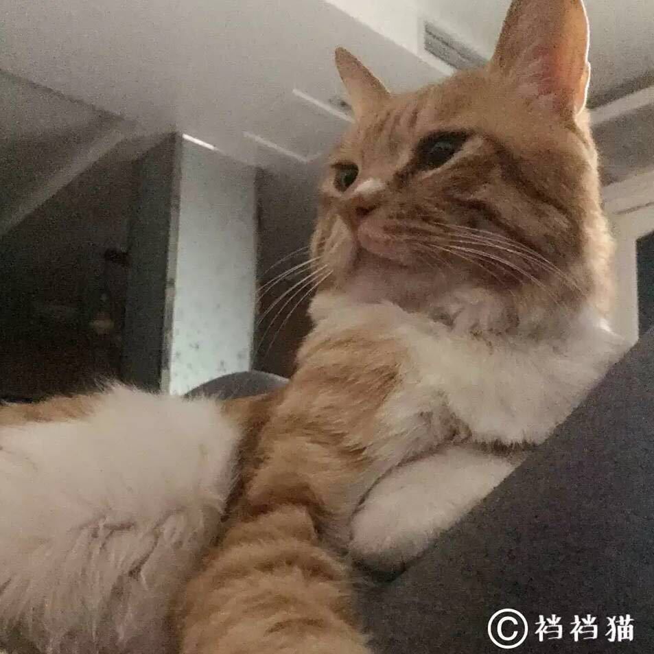 只如初见