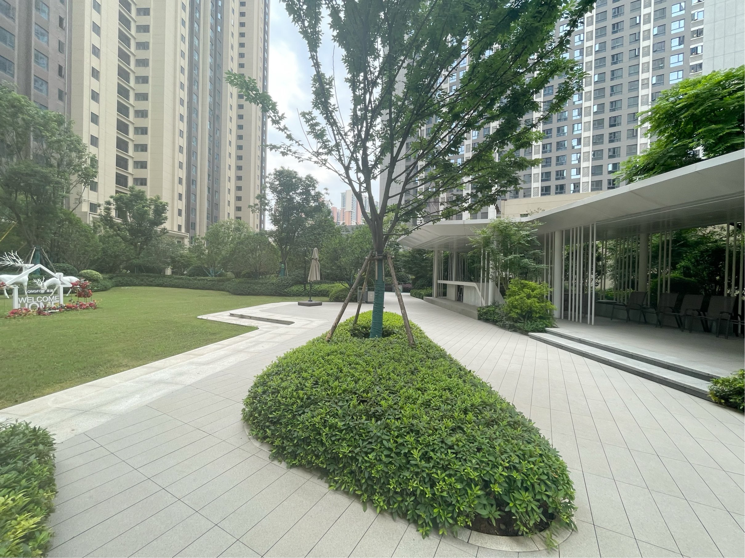 Wuhan-Hongshan-Cozy Home,Clean&Comfy,No Gender Limit,Pet Friendly