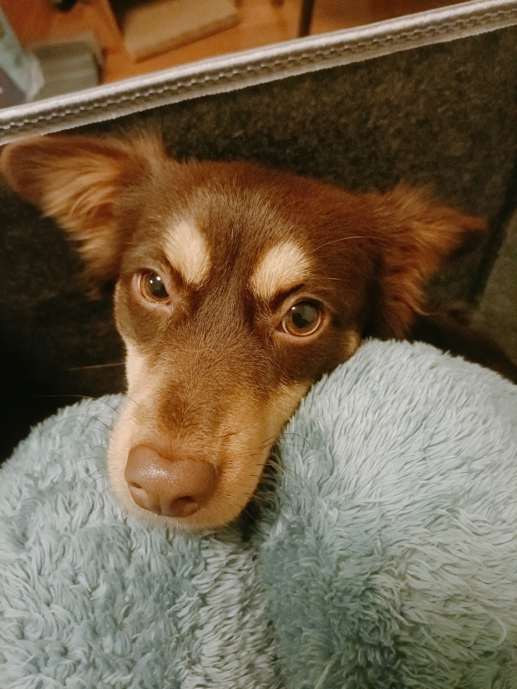 杭州美院小姐姐在线蹲舍友！_4