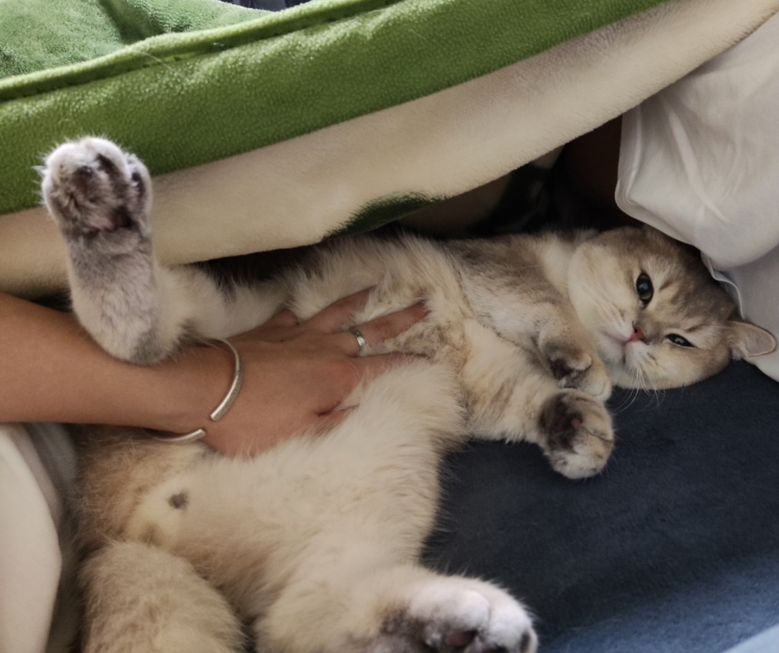 招亲（家里的是弟弟）_4