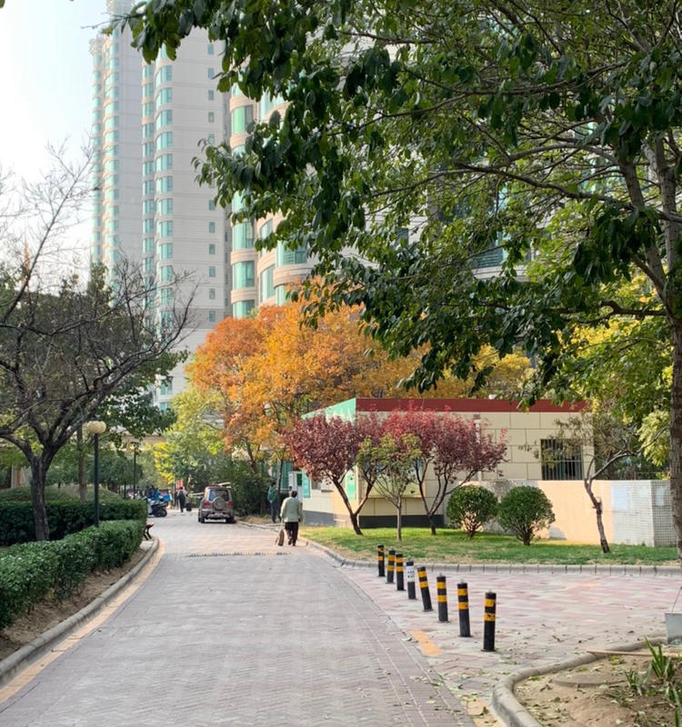 Beijing-Chaoyang-👯‍♀️,Long & Short Term,Seeking Flatmate,Shared Apartment