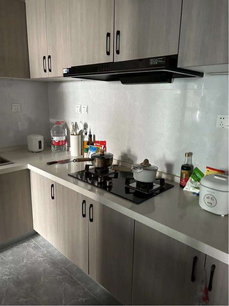 成都 高新區 | 新园大道_5