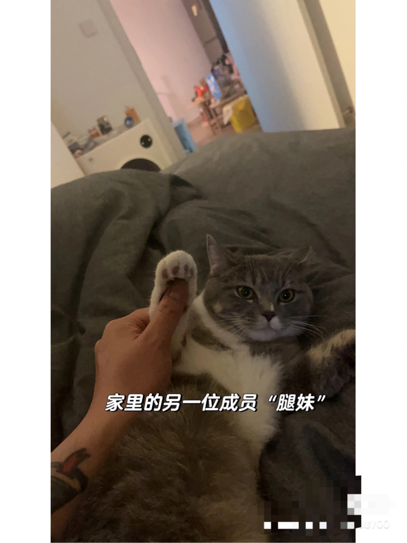 上海 静安 | 共康五村_5