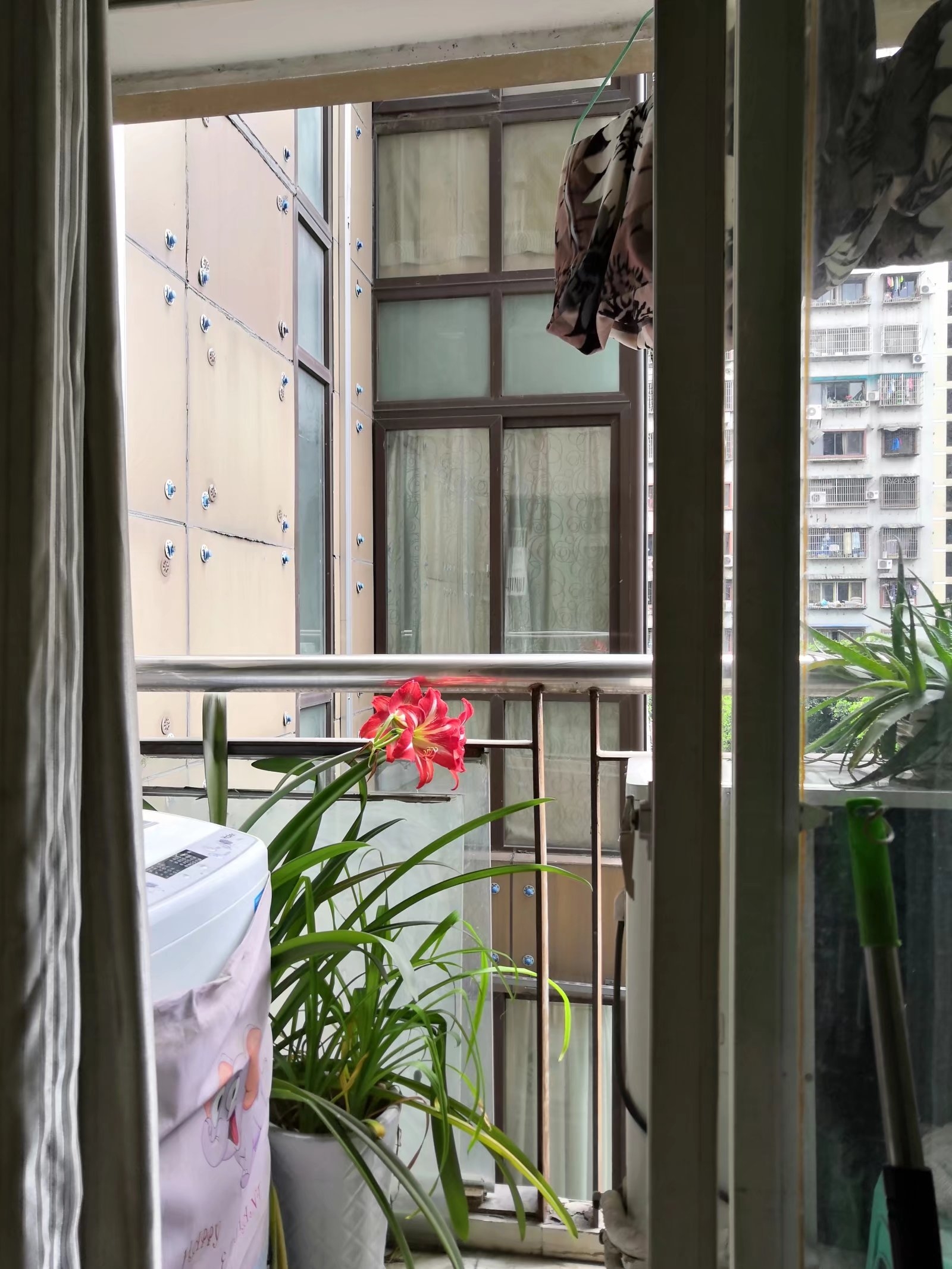 重慶 渝北 | 龙溪街道金山大道加州1号公寓幢_4