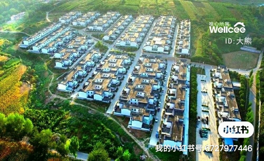 life_photo_4