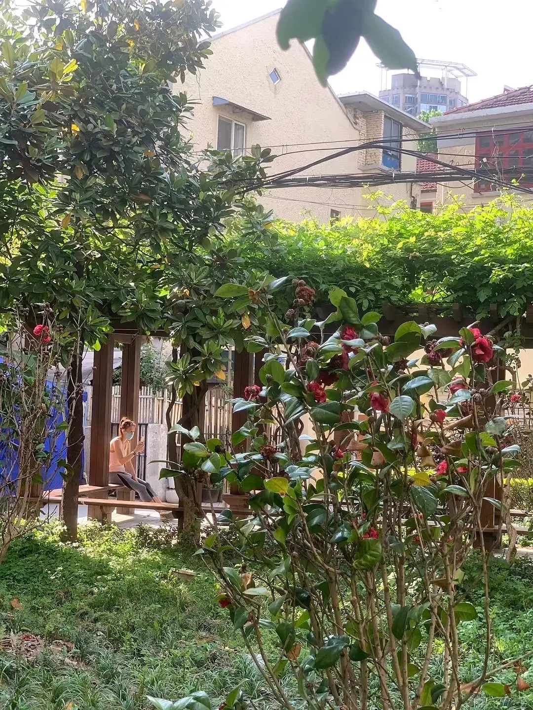 【个人找室友】上海市中心梧桐树街区电梯房_3